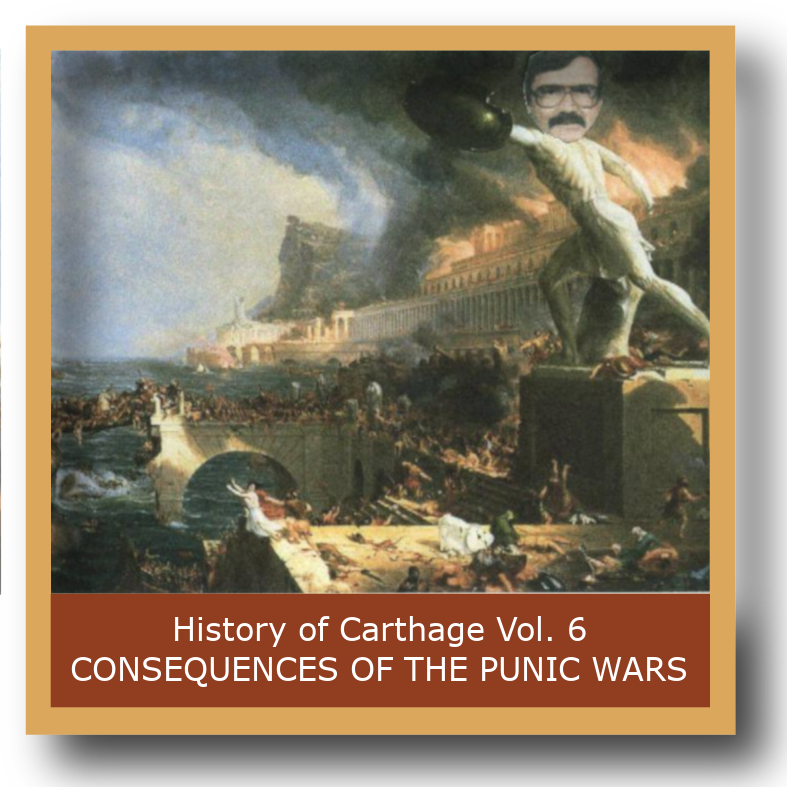 History of Carthage Vol 6 Consequences of the Punic Wars